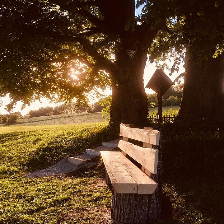 Die Abendsonne genießen
